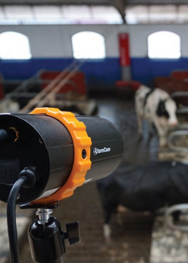 Luda.Farm FarmCam IP2 - wireless Überwachungskamera