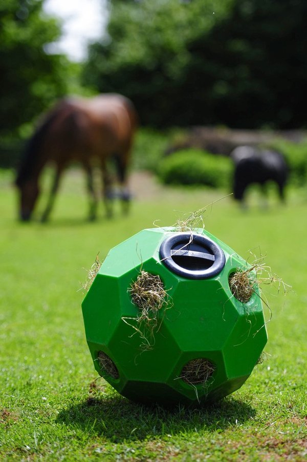 Spiel- + Fütterungsball "Happy Hay Play", kleine Futteröffnung, 50 mm