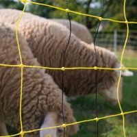 VERTIKAL-Netz high energy für Schafe - 90cm,
