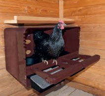 Legenest "ChickBox" • Die neue Alternative zu traditionellen Legenestern aus Holz