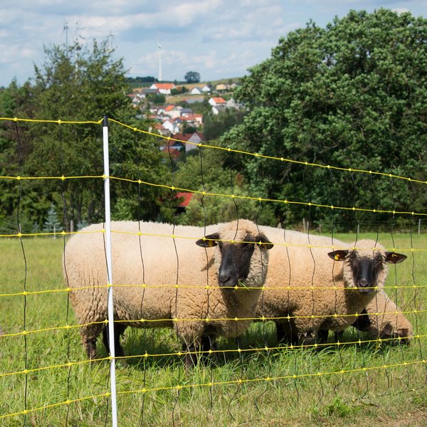 horinetz für Schafe - 90cm hoch mit Einzelspitze